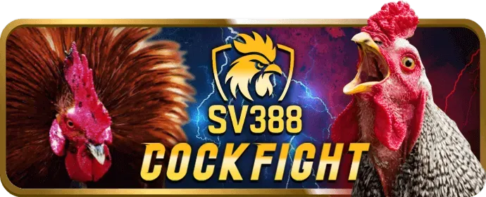 Cá cược thể thao 888vi